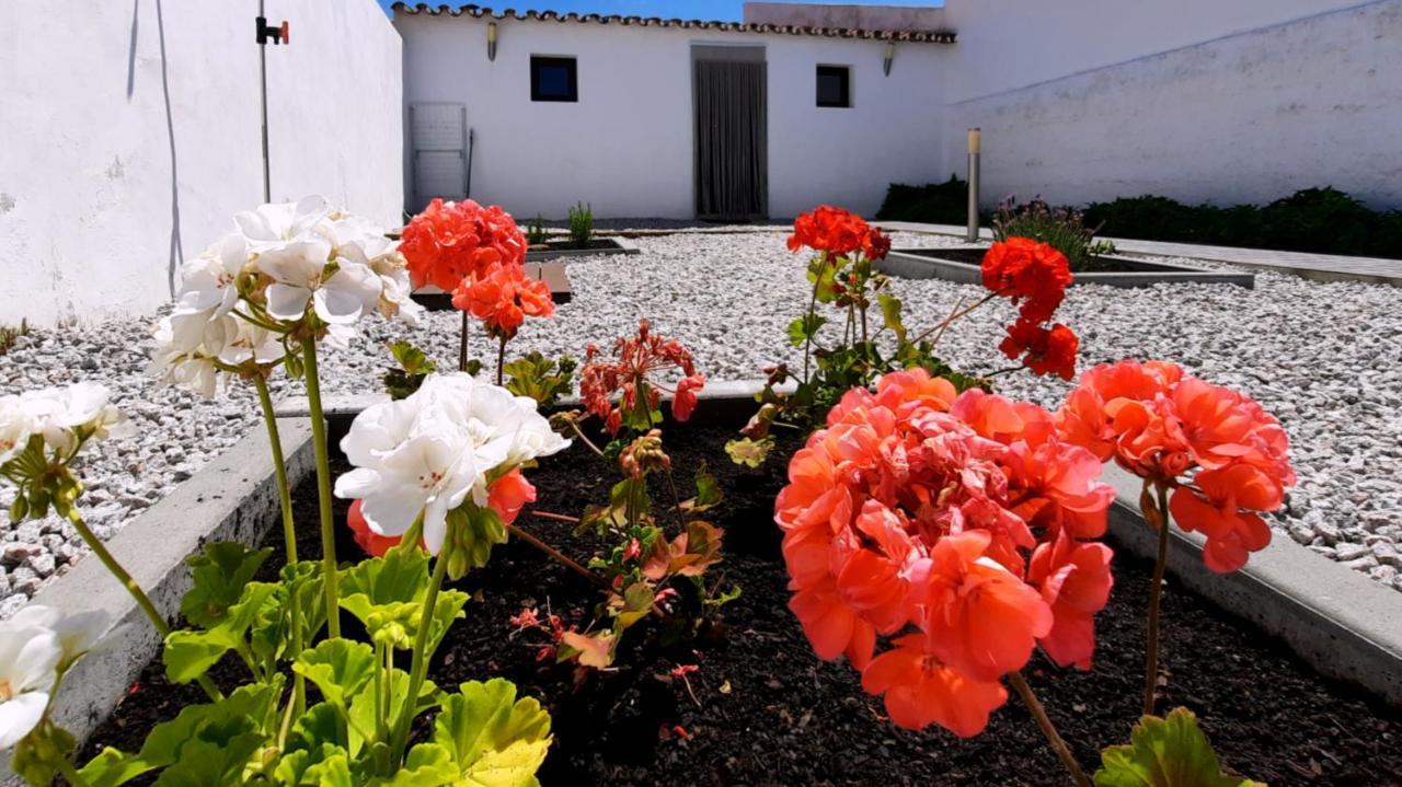 Casa Dos Vizinhos - Casas De Taipa Villa São Pedro do Corval Екстериор снимка